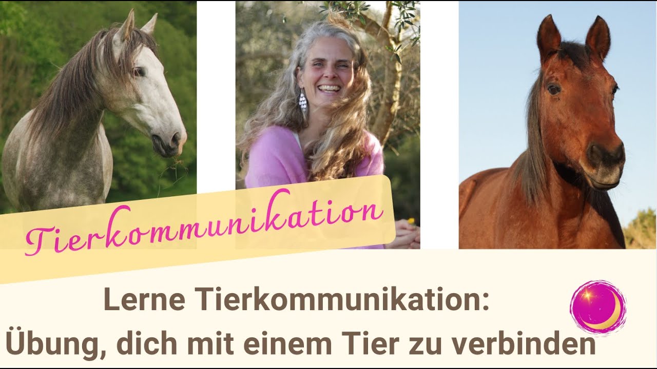 Lerne Tierkommunikation: Übung, dich mit einem Tier zu verbinden