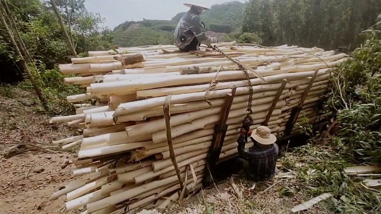 Reversing a Tractor on Steep Mountain Roads – Harsh Life in Vietnam’s Highlands