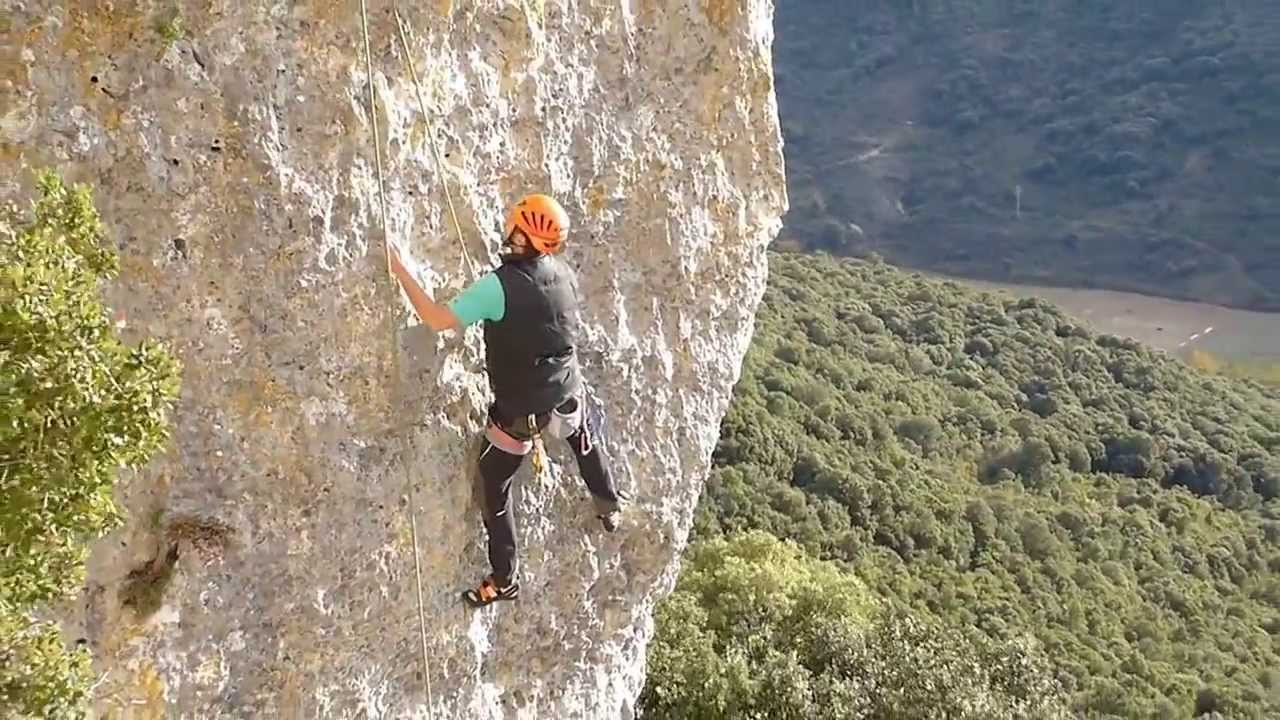 La fabula de la raposa
