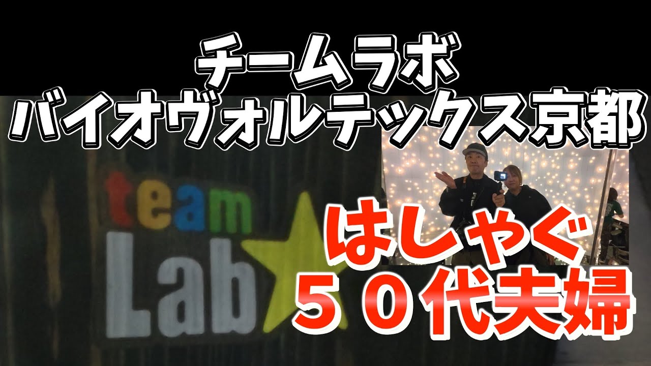 【チームラボ　バイオヴォルテックス京都】想像以上！オジサン、オバサン童心に返る！夫婦デートに最高すぎた！