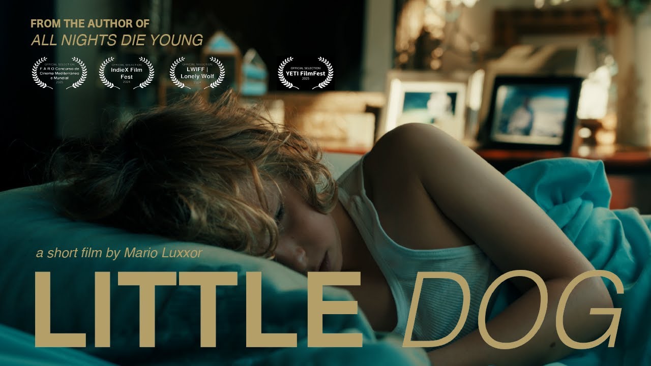 LITTLE DOG | a short film
