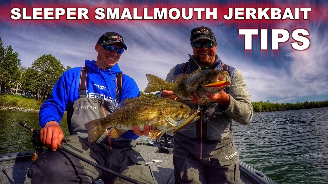 Spring Smallmouth Bass Jerkbait Fishing Tips