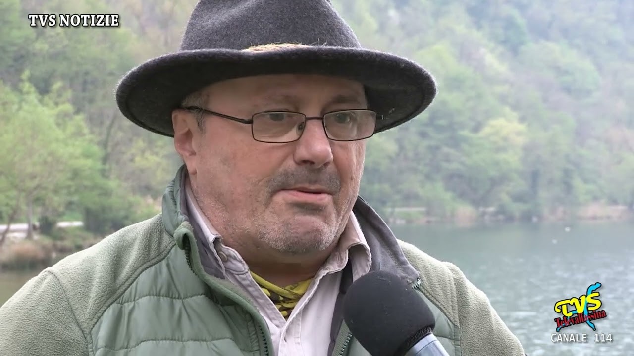 Rilancio turistico, lupi e cinghiali nel Triangolo Lariano - Intervista a Nicola Vicini