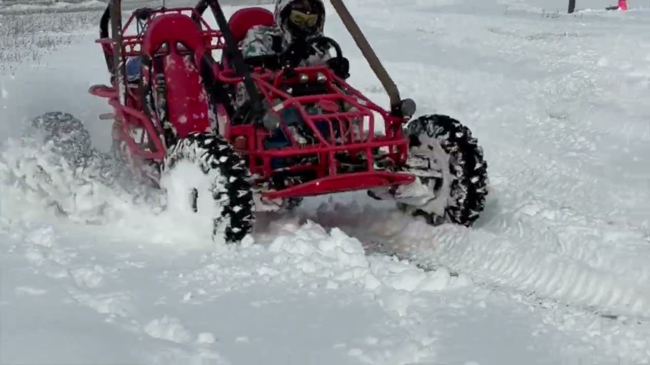 Buggy in the snow