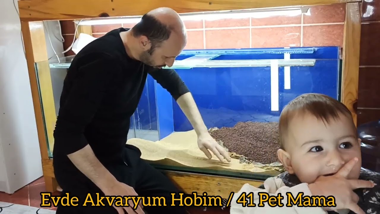 1 Yaşındaki Kızım İçin Kurduğumuz Akvaryum