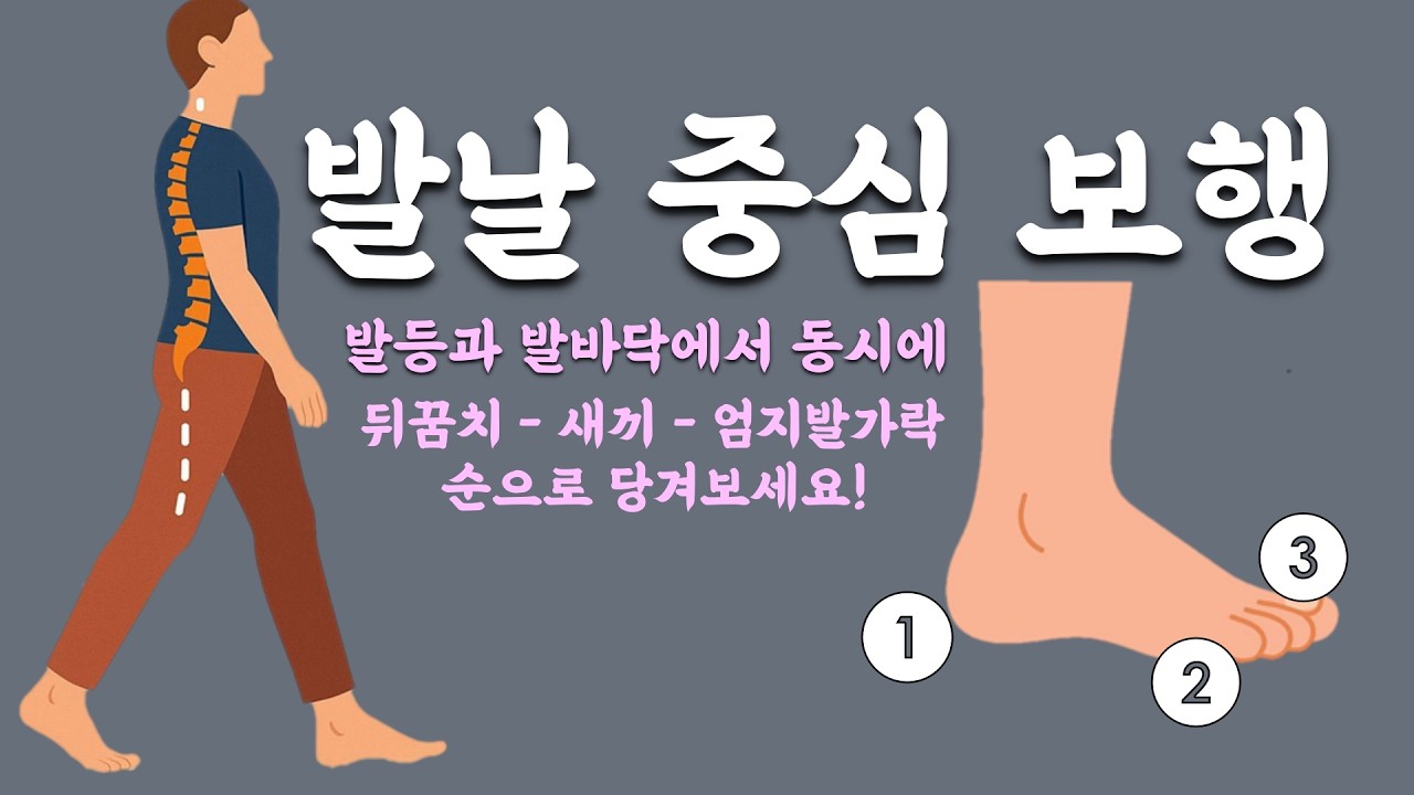 [ 마름모코어 시즌 3-82 ] 발날 중심 보행 - 뒤꿈치, 새끼발가락, 엄지발가락 순 사용의 신체 정렬과 안정성 향상