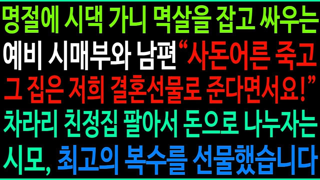 명절에 시댁에 가니 서로 멱살 잡고 다투는 예비 시매부와 남편, 친정집을 결혼 선물로 주기로 했다는데   차라리 집 팔아서 돈으로 나누자는 시모 말에 최고의 복수를 선물했습니다
