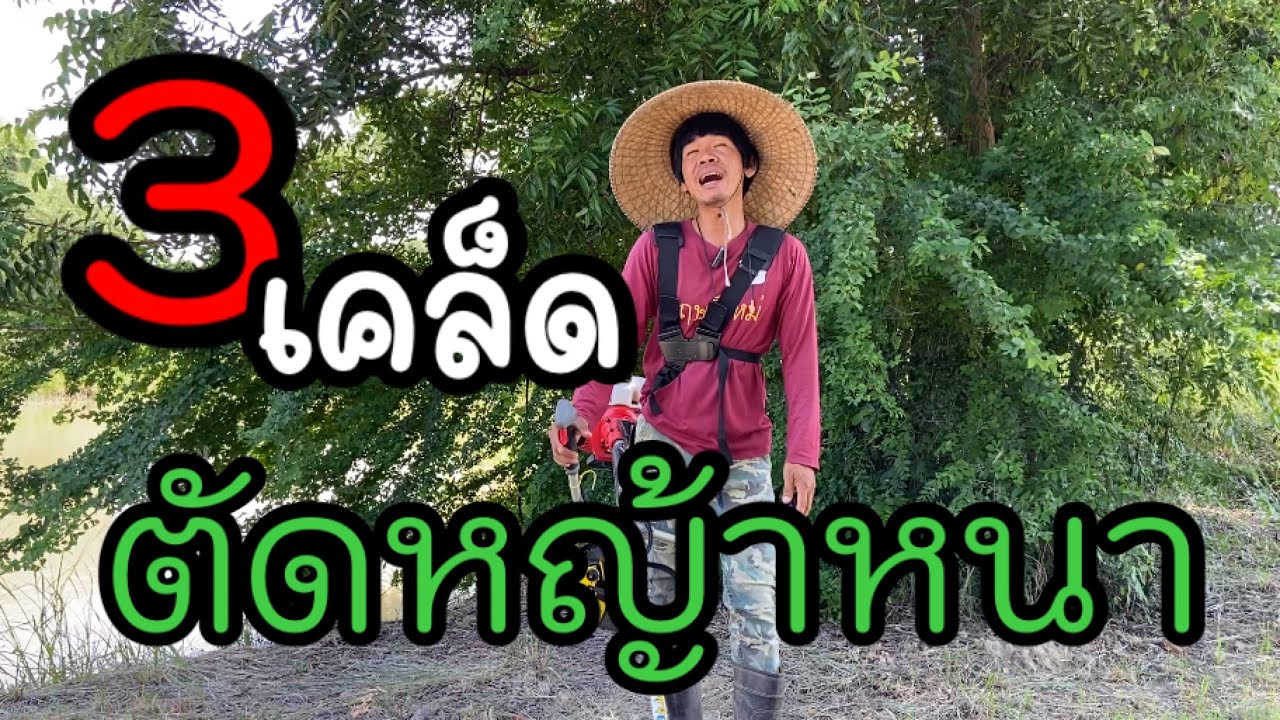 วิธีตัดหญ้าหนาแบบสบายๆกับzenoah bc4350fw g45l