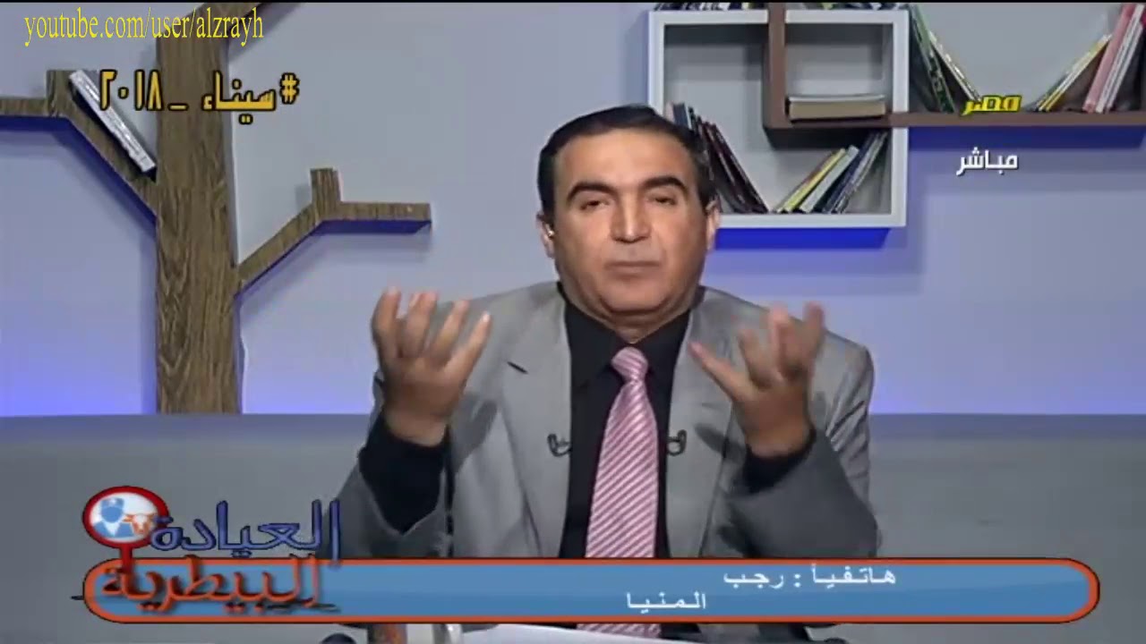 كيفية اعطاء قوالب الاملاح المعدنية الى الابقار والجاموس