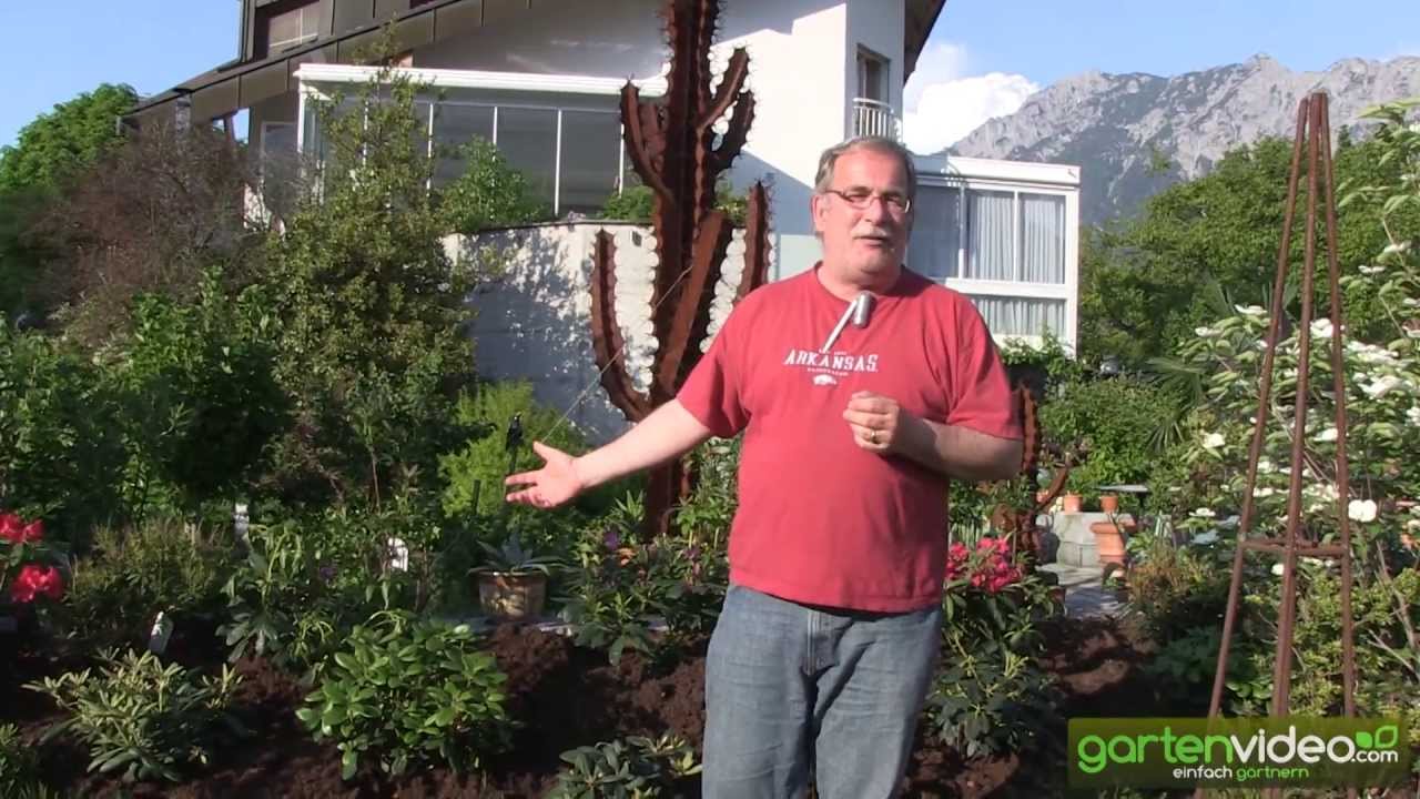 Moorbeet anlegen und bepflanzen