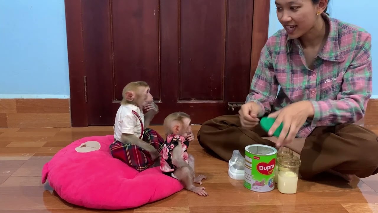 Qunnn Jueur & Jasmine Sit In Lineee Waiting For Milk Look So Adorable