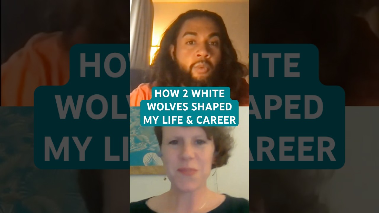 How A Dream of Two White Wolves Guided My Life & Career