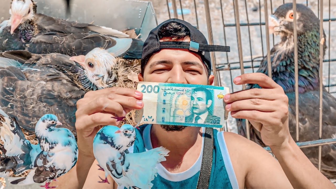 تحدي 200 درهم شنو تشري لي فسوق الحمام 🤔