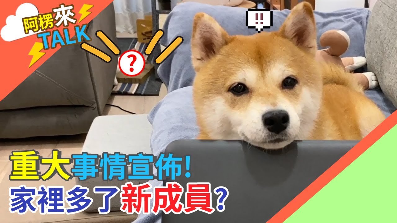 重大事情宣佈！？家裡多新成員？！【阿楞TALK】