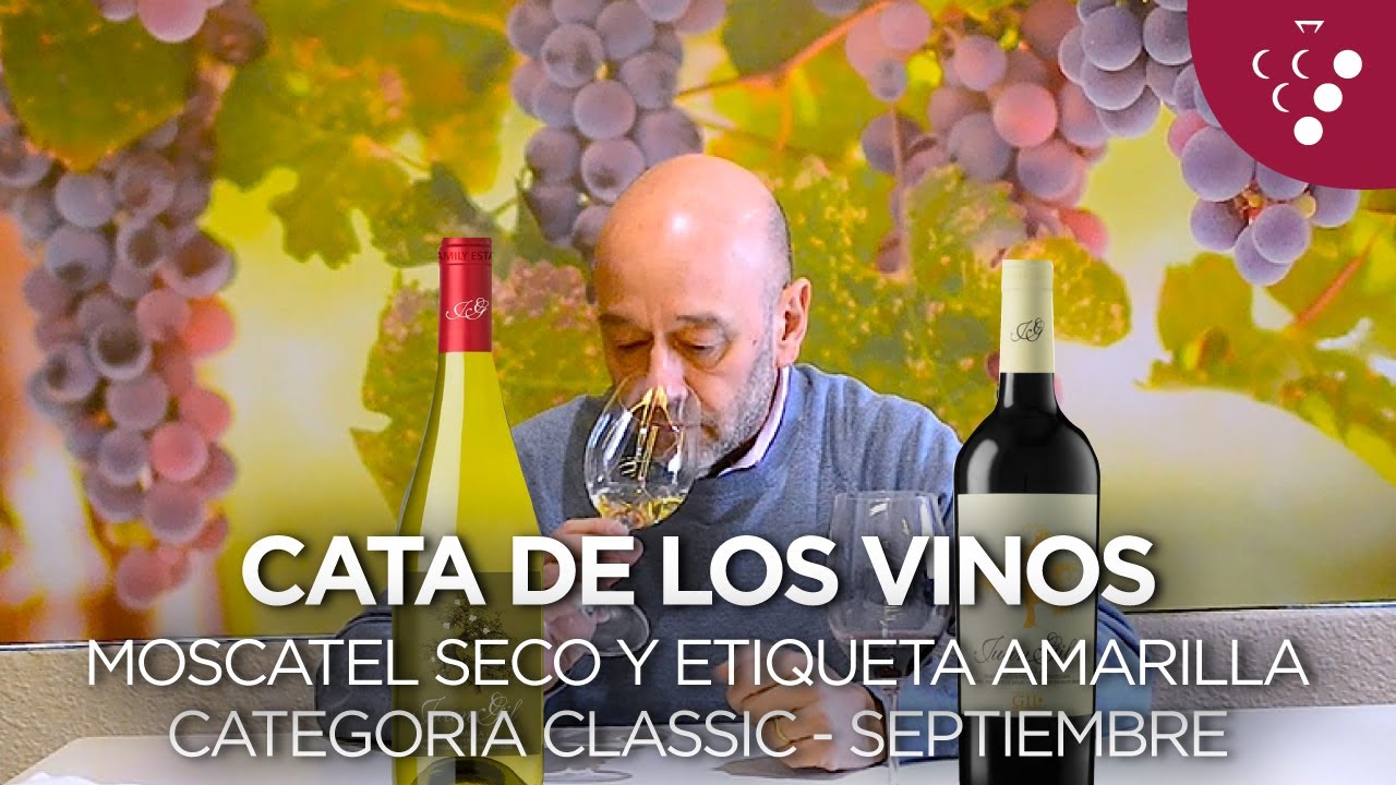 Cata de los vinos Moscatel seco y etiqueta amarilla  - Vinos del mes Septiembre (Membres&iacute;a Classic)