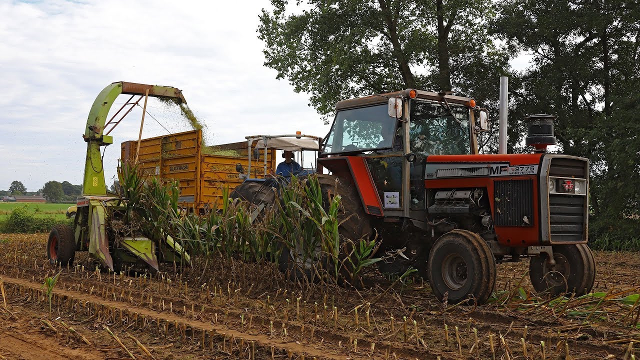 Massey Ferguson 2775 | Claas Jaguar 75 & Jaguar 80 SF | Hakselteam De Tukkers