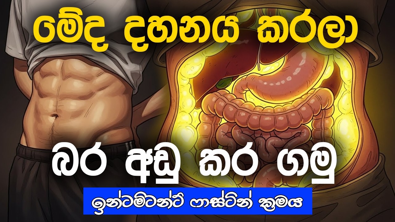 Intermittent Fasting | බර අඩු කිරීම | විද්‍යාත්මක ක්‍රියාවලිය සරලව | Nutrition Sinhala | Weight Loss