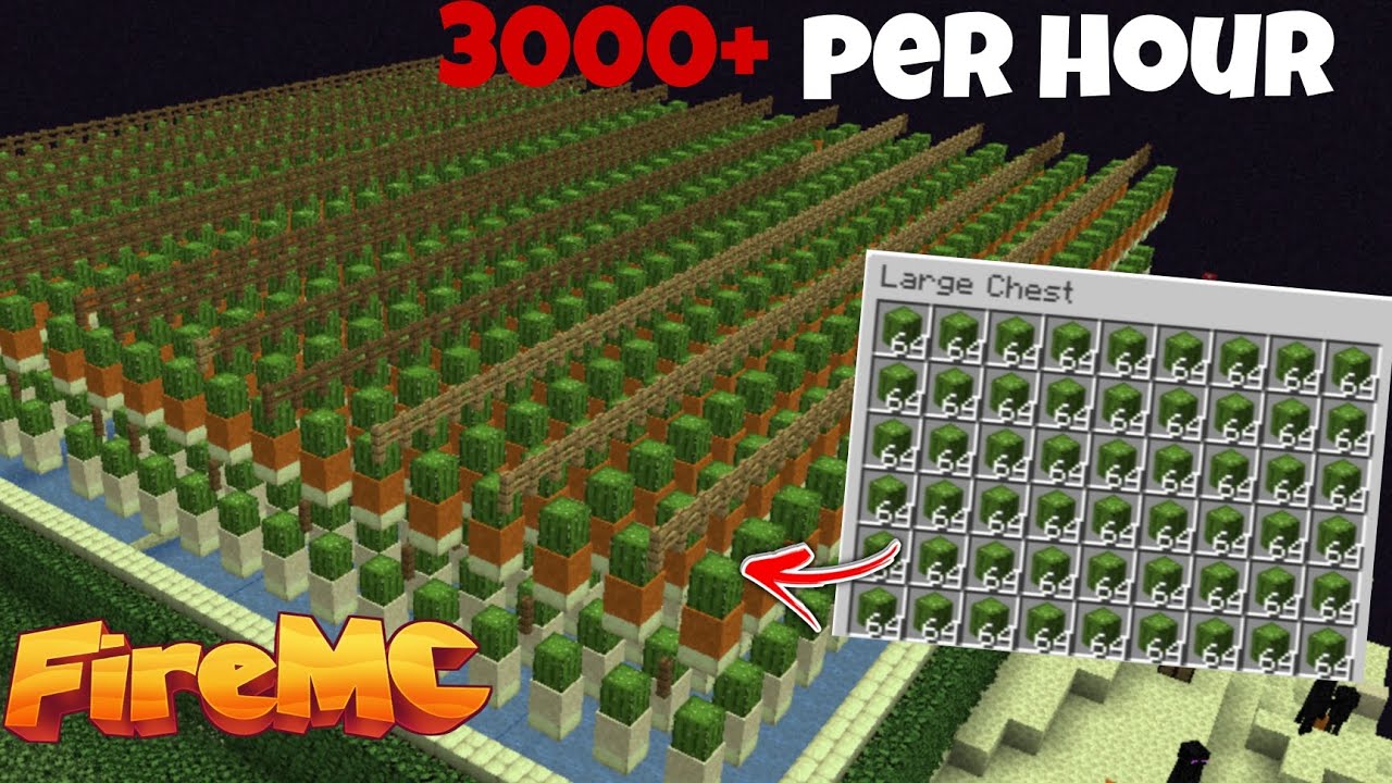 I built a massive cactus farm in Firemc 