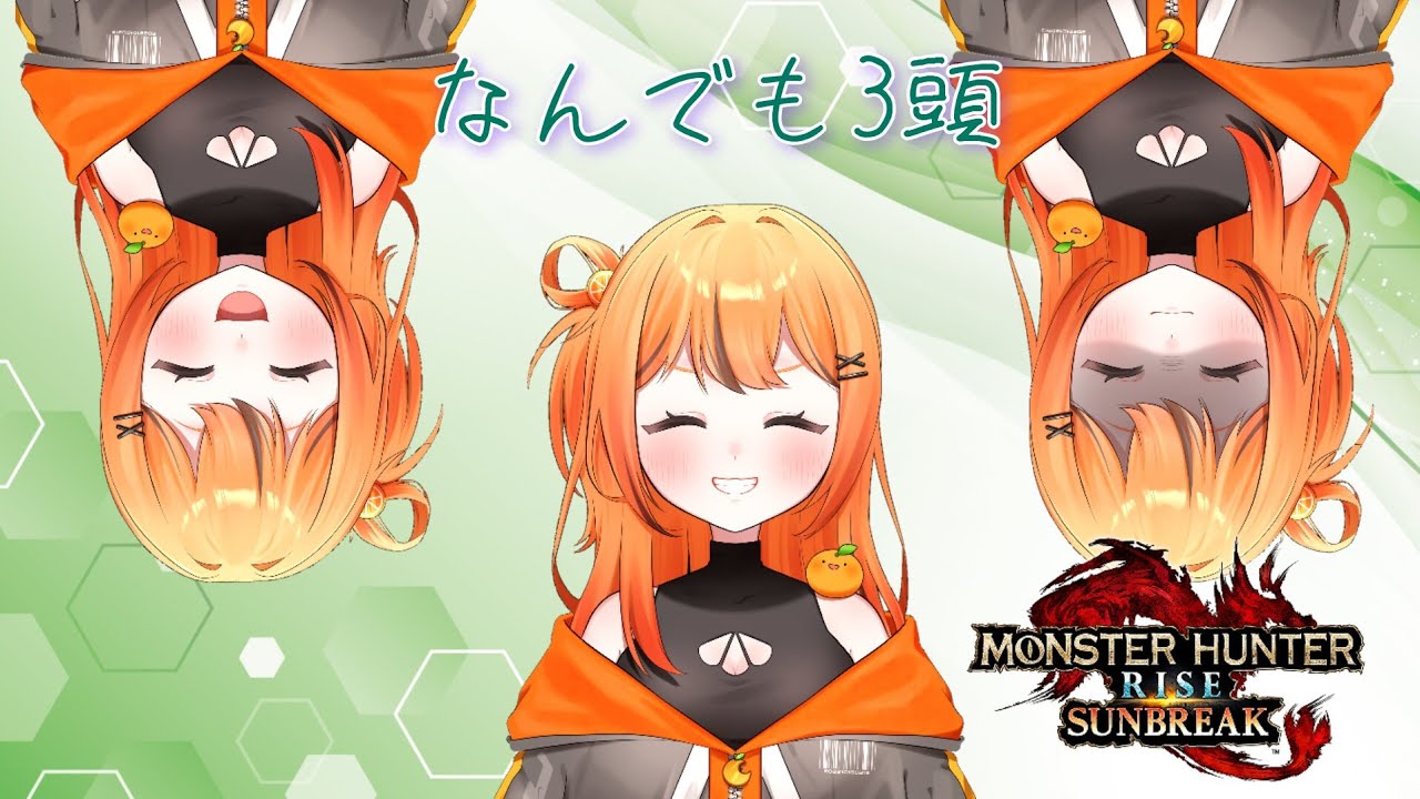 行くよ行くよ詐欺 なんですってよ　モンハンライズサンブレイク【Switch版】