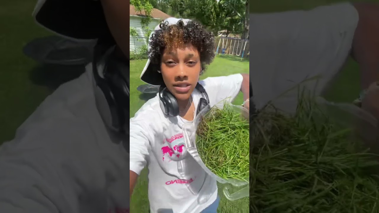 diy NITROGEN fertilizer from grass clippings! | TRY THIS METHOD #nitrogen #grass #diy