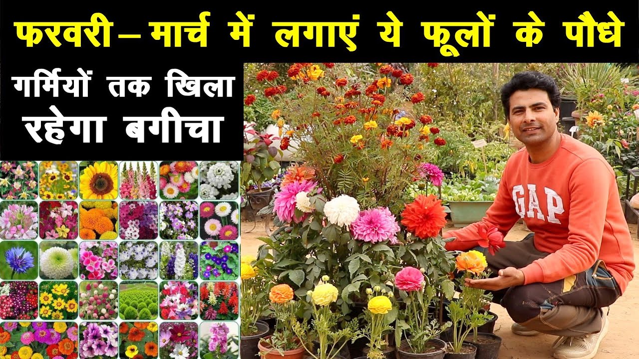 स्प्रिंग सीजन में लगाएं ये टॉप प्लांट्स 😍 फरवरी से मई तक गार्डन में खिले रहेंगे फूल🌺 Spring Season