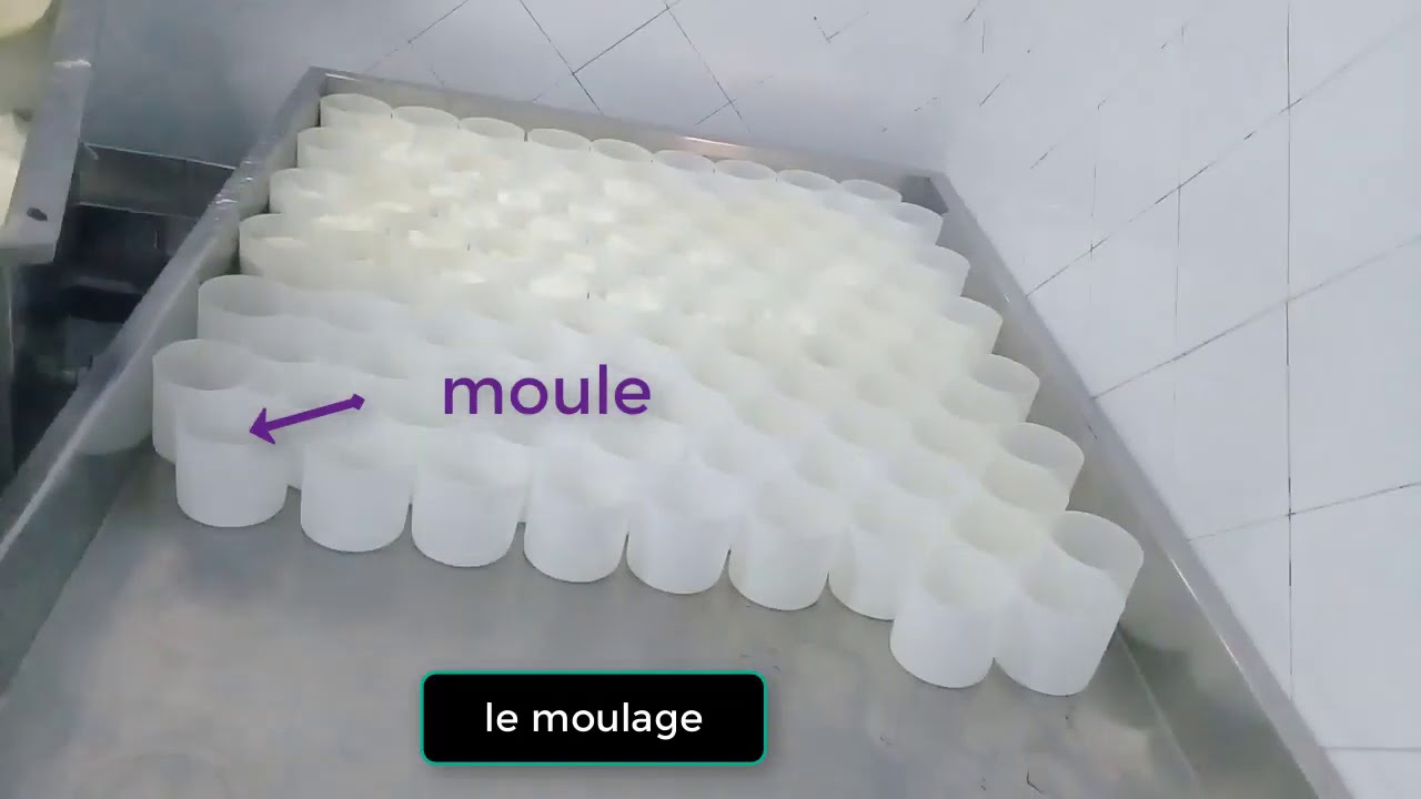 Fabrication du fromage frais   Ajbane Chefchaouen720P HD