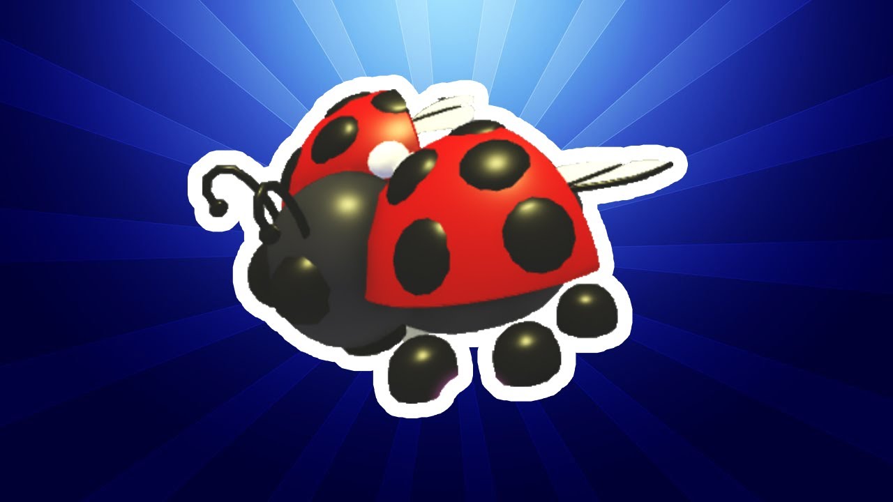 This Ladybug Is Yours...*GIVEAWAY?!* Roblox Adopt Me