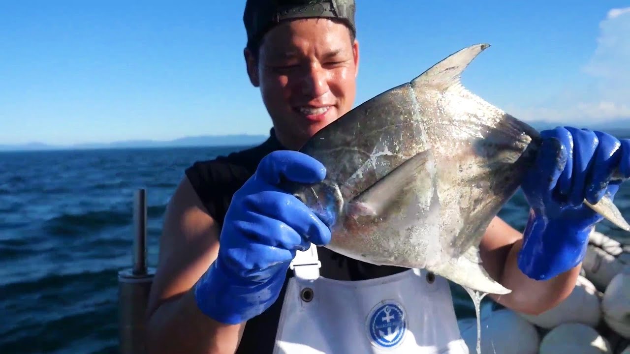 小豆島の漁師はまゆうの１日【ギックリ腰とマナガツオ漁編】