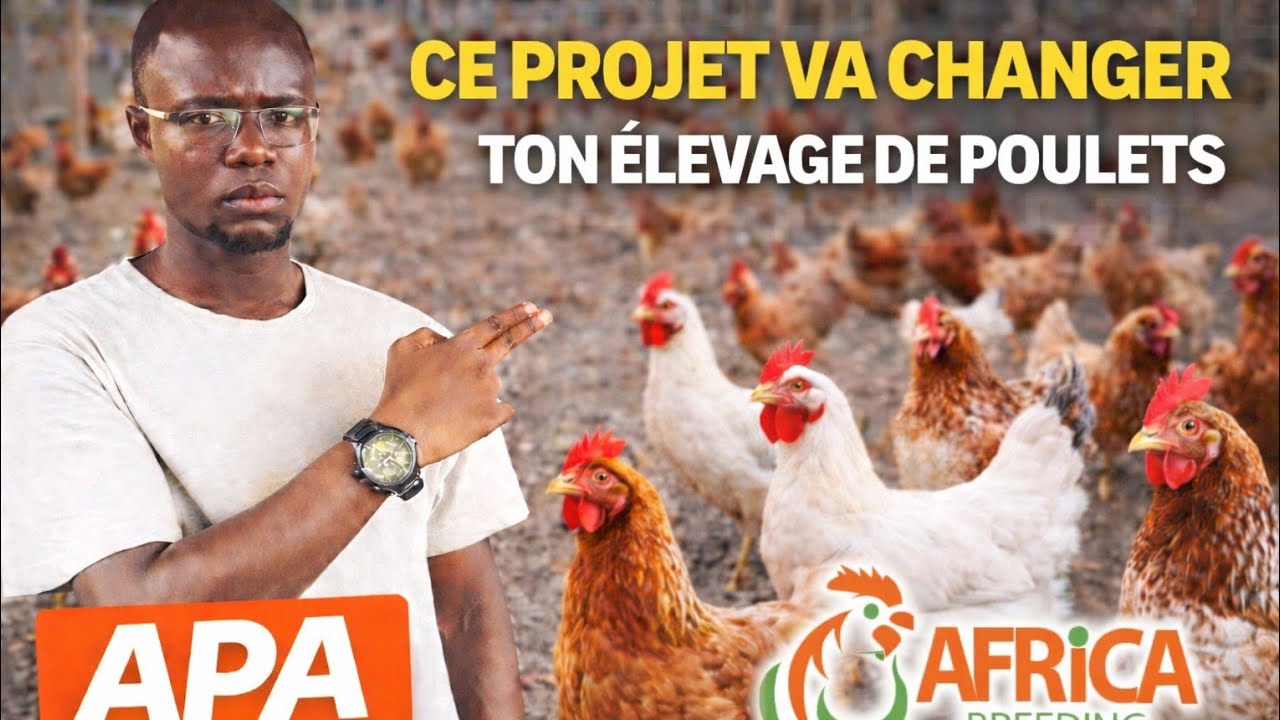 Ce Projet Va Changer Ton Élevage de Poulets...