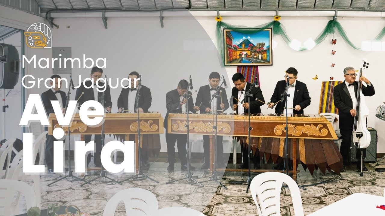 AVE LIRA - MARIMBA GRAN JAGUAR