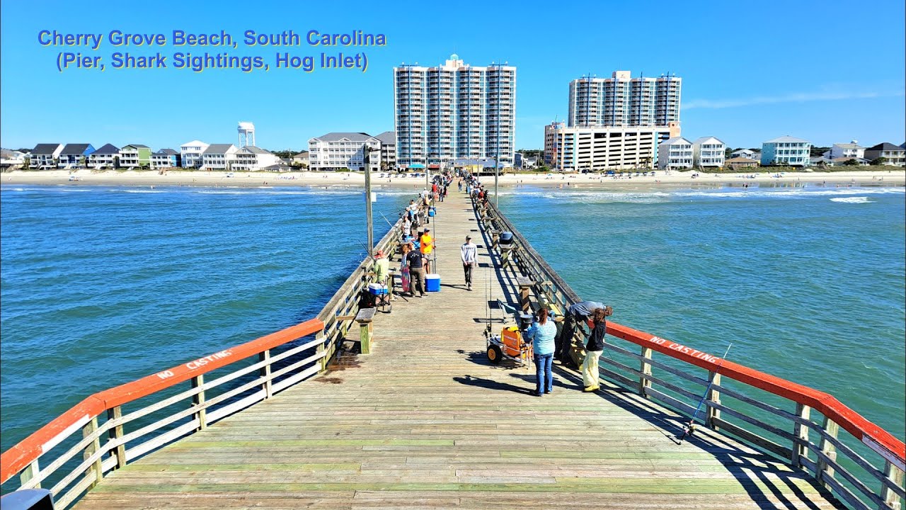 Cherry Grove Beach, SC (Shark Sightings, Fishing Pier, Beach Time)