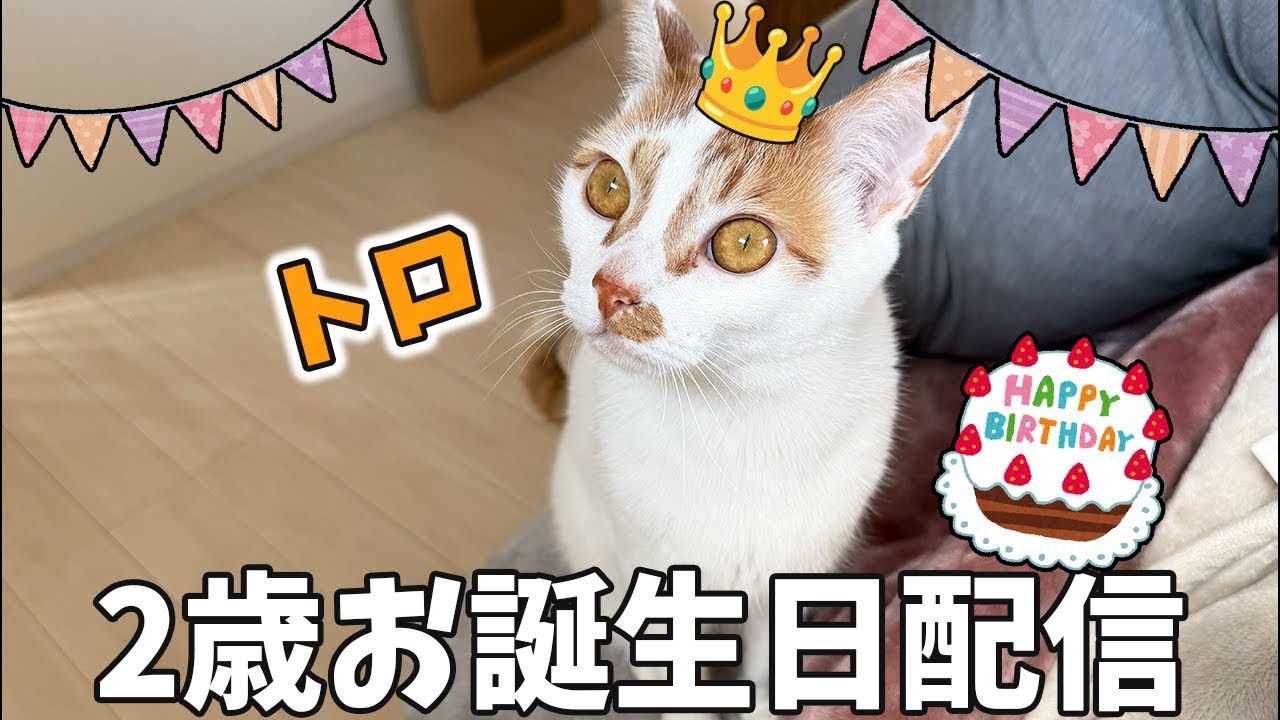 トロ2歳のお誕生日会🎂🎉