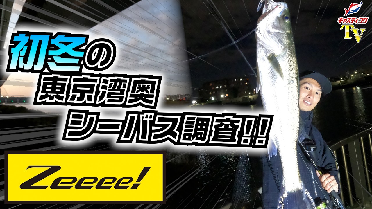 【シーバス】初冬の東京湾奥シーバス調査！！【Zeeee! 】