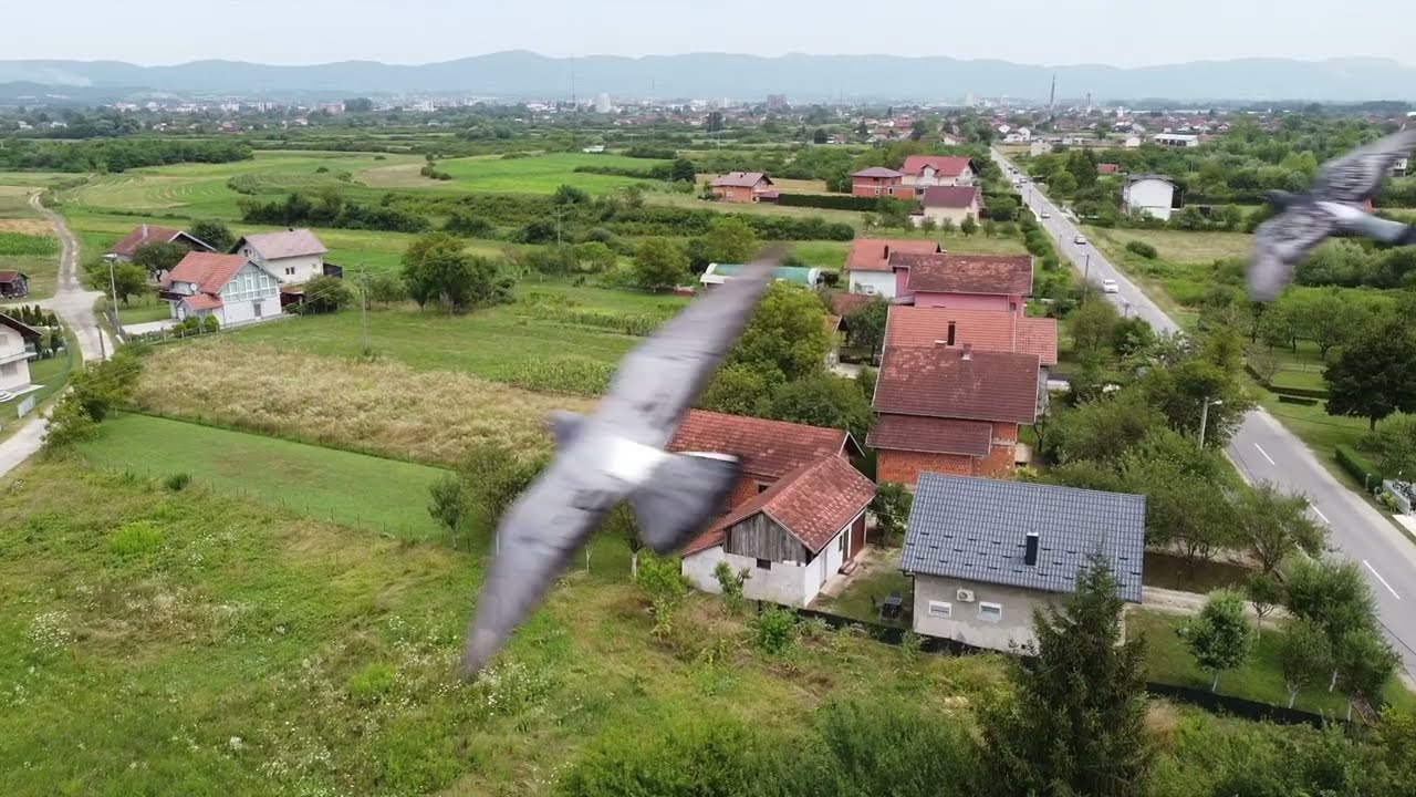 Dron let | Hambarinsko Polje | Prijedor | Krajina | Novi Video 🚁🌾🎥