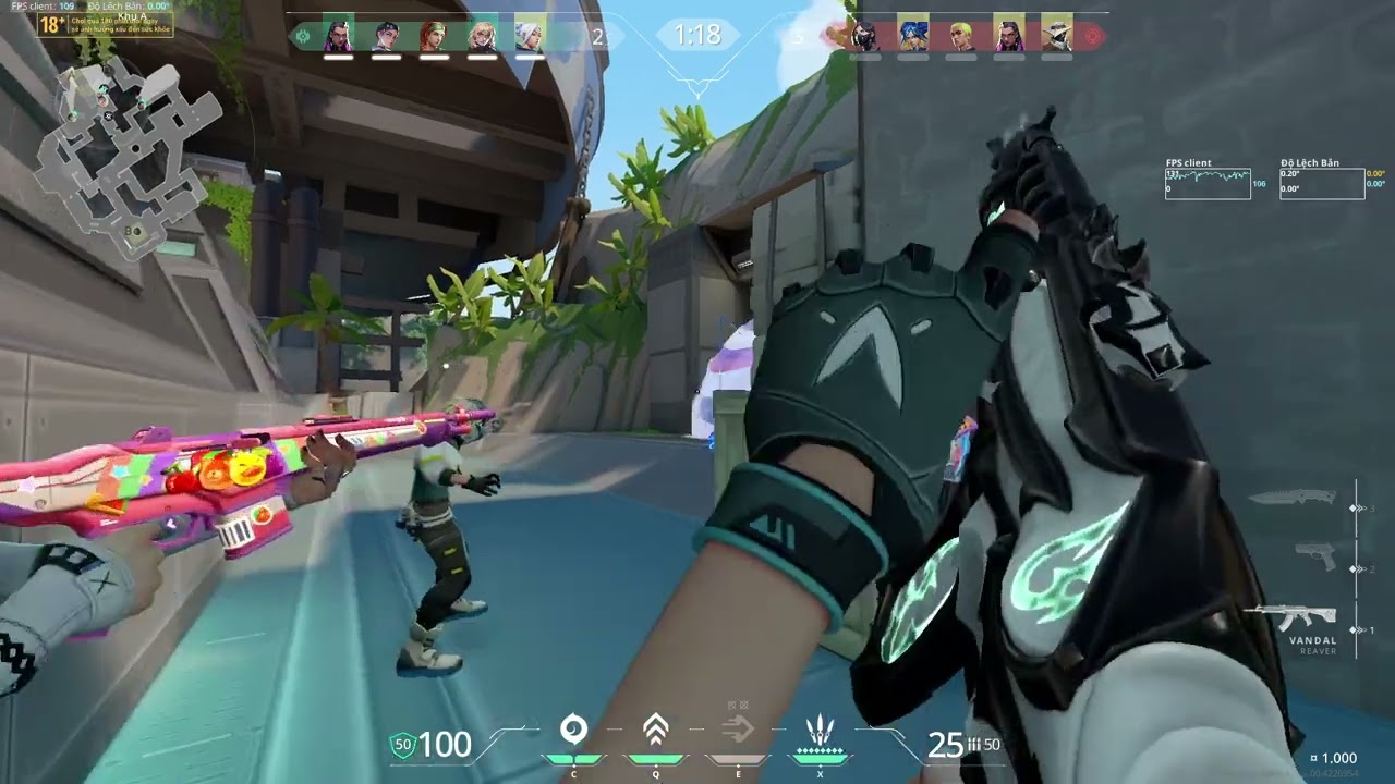 chc reyna k cay đâu =))