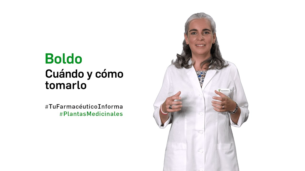 Boldo, cu&aacute;ndo y c&oacute;mo tomarlo  - Tu Farmac&eacute;utico Informa #PlantasMedicinales