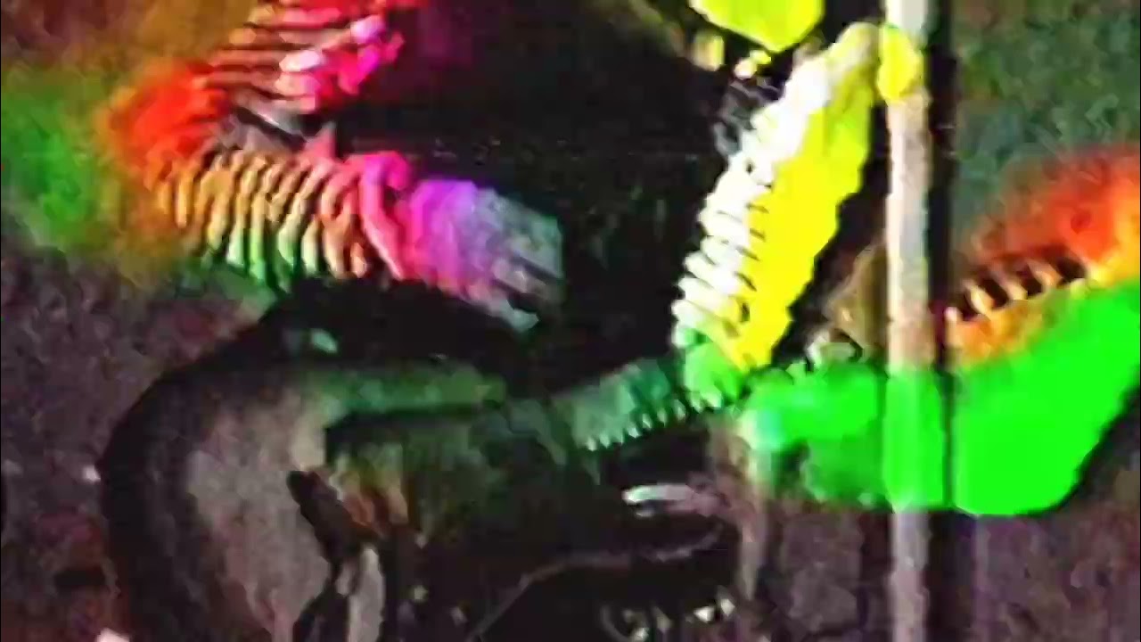 BLOODY MIMIC - MUERTE EN EL ASFALTO  (VIDEOCLIP) 