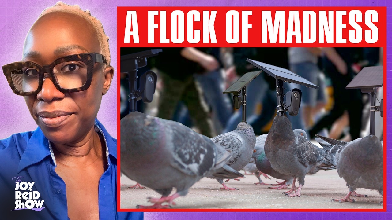 A Flock of Madness | The Joy Reid Show LIVE!