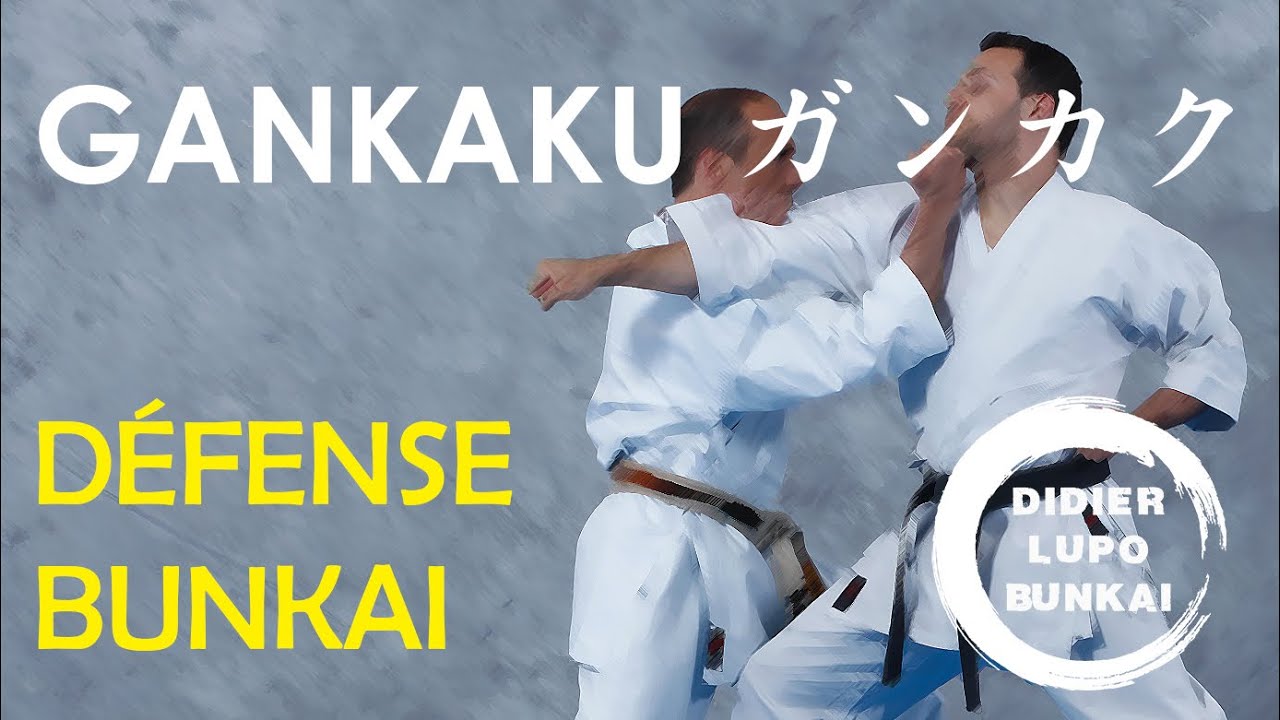 GANKAKU Défense et Bunkaï par Didier Lupo