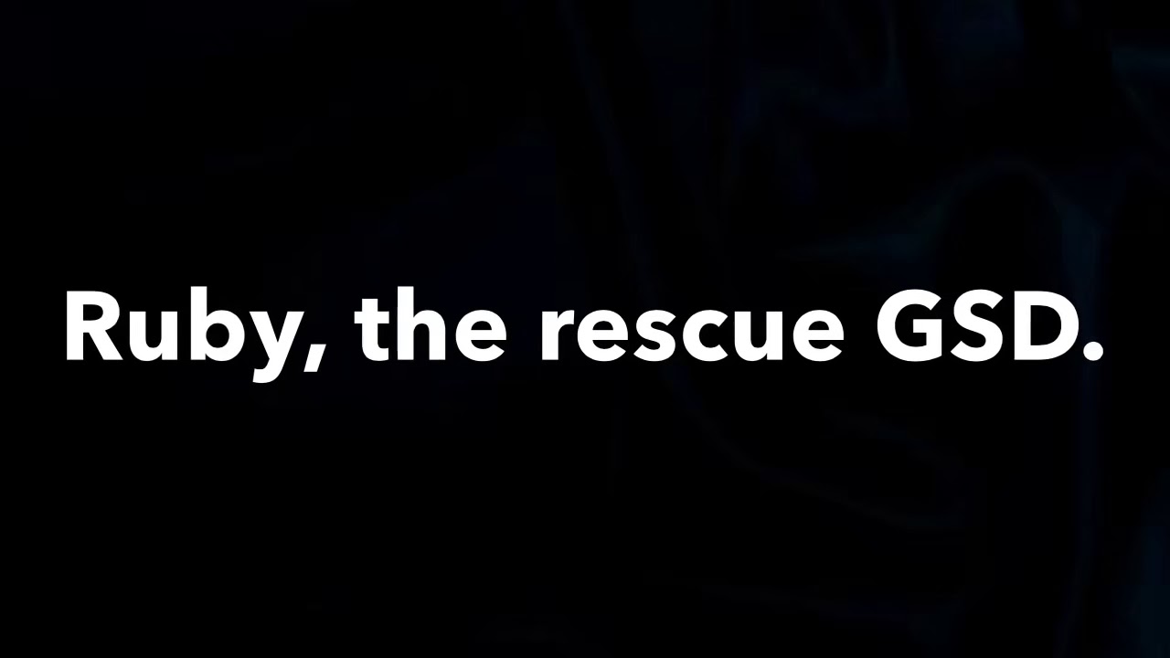 Stopping dog reactivity is easy!
