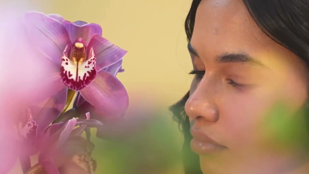 My Country - Jade Hurley [Full Poem Version]