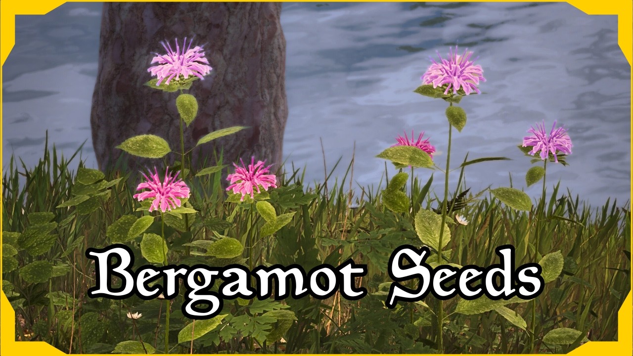 Ингредиент алхимии, который вы игнорировали, и почему он важен