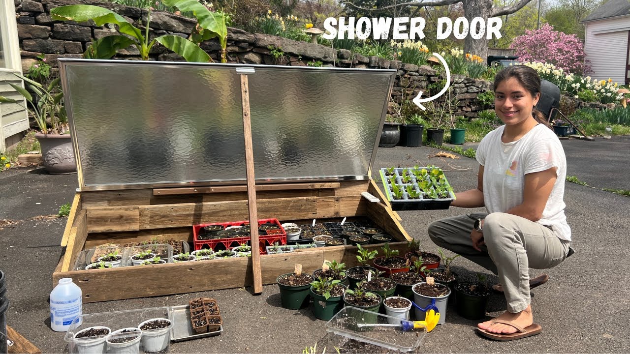 No Greenhouse? No Problem! Building a Cold Frame for Free
