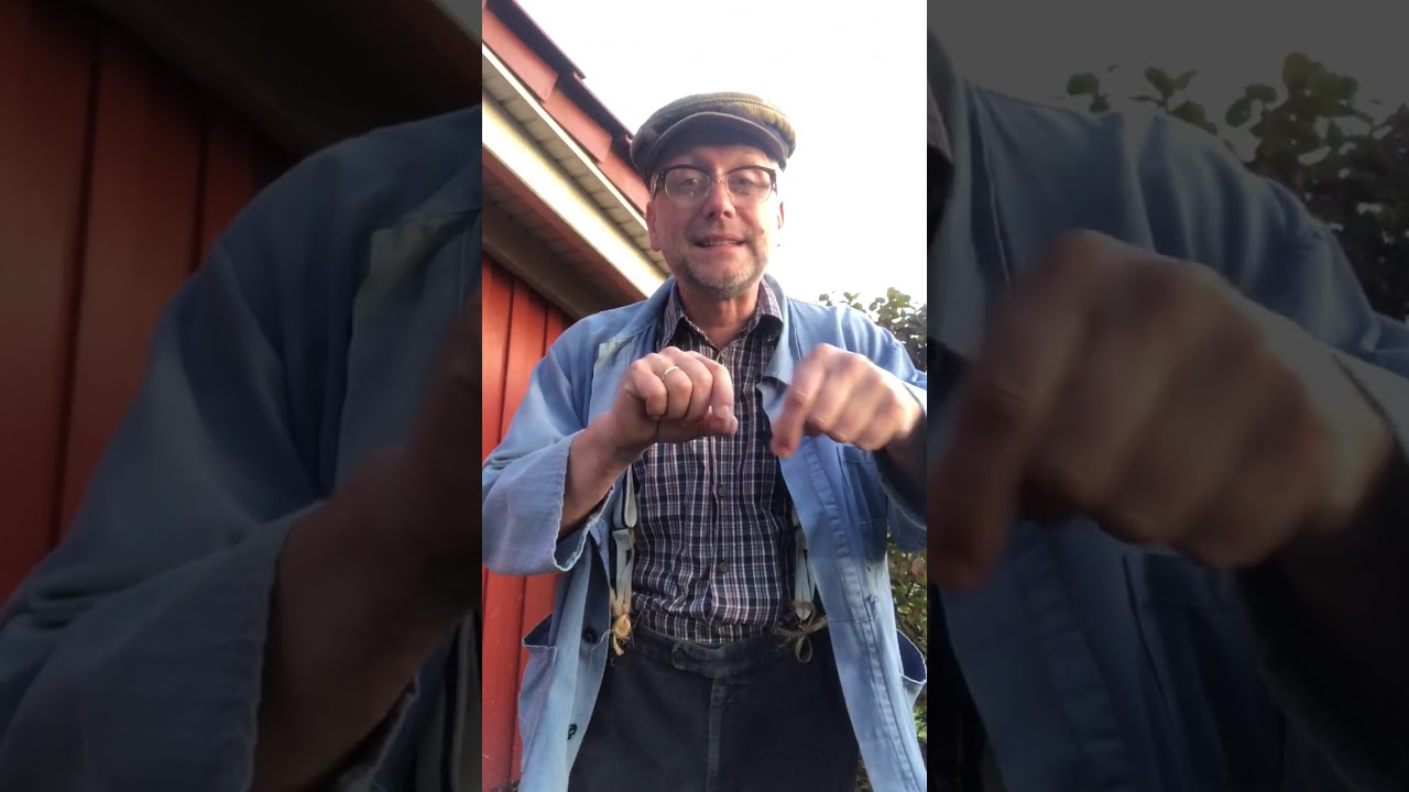 Buur Decker - Folge 31 „Oma und dat Foto ut de Sauna“ plattdeutsch/witzig/durchgeknallt