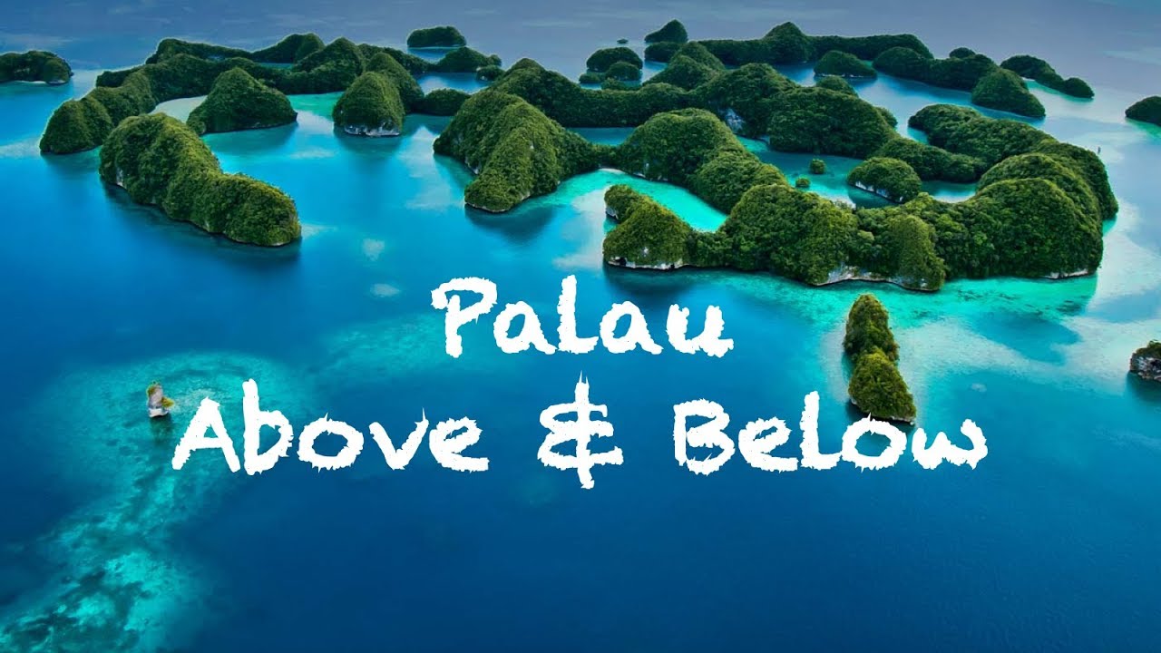 Palau Above and Below - DJI Mavic Pro & GoPro - Palau Siren Liveaboard