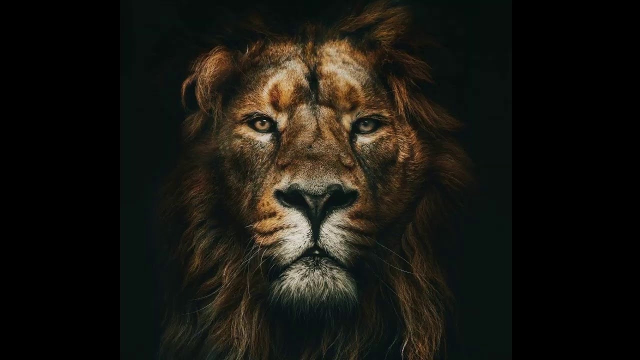Victorious/ Prayer & Warfare Instrumental