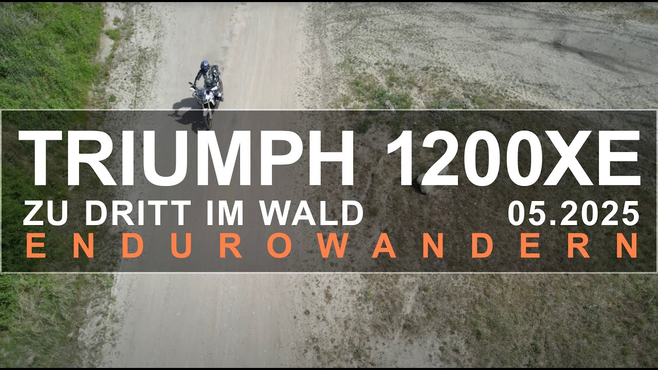 TRIUMPH 1200 XE - Spass im Wald