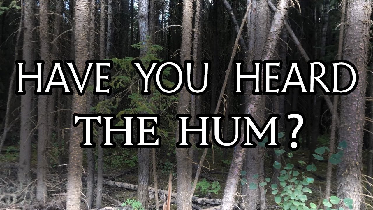 Mysteries of the Wilderness: Viewer Accounts