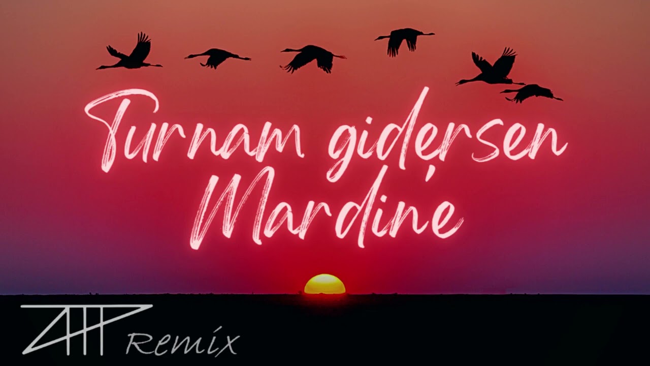 Turnam Gidersen Mardin'e &mdash; Altay Tuna POLAT Remix