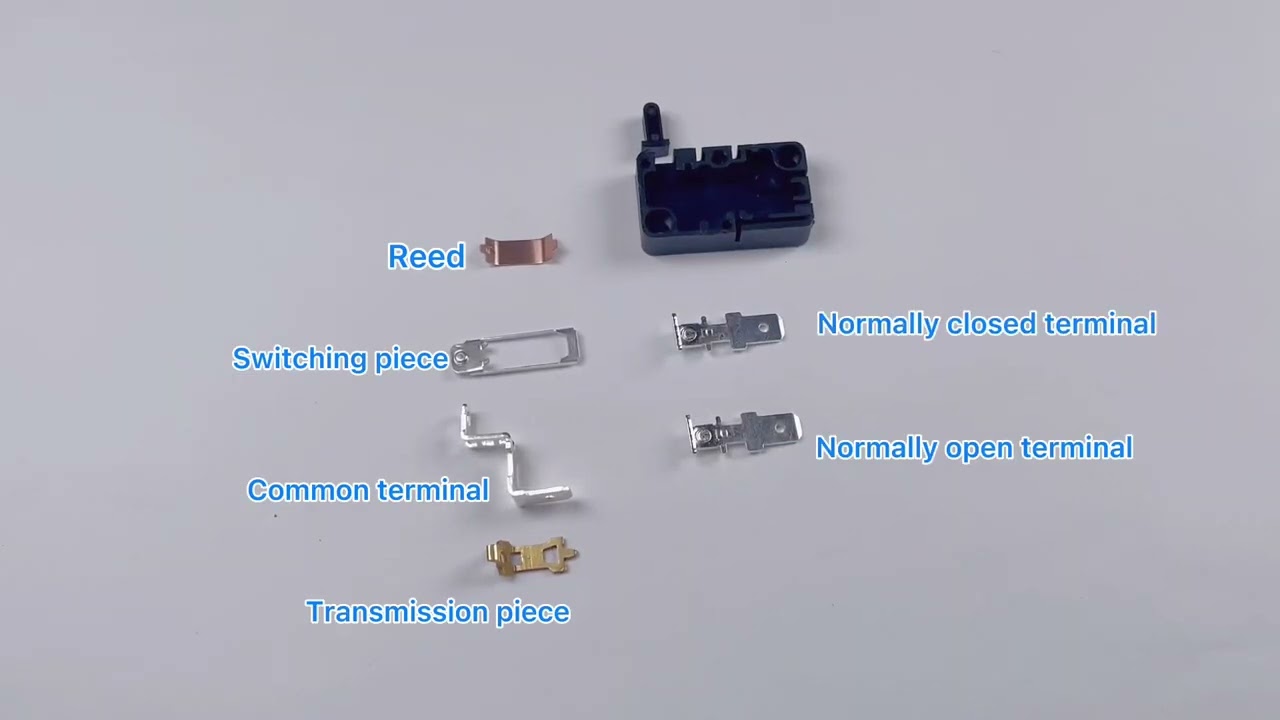 Micro Switch｜What&lsquo;s inside of it？